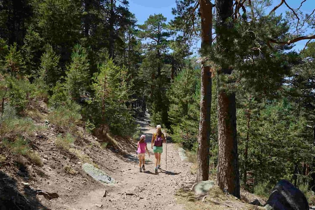 Anigami patents ai system for monitoring visitors in natural environments