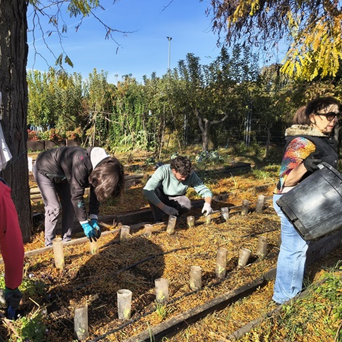 Madrid Launches 'Hábitat Madrid' Program Featuring Over 400 Environmental Activities