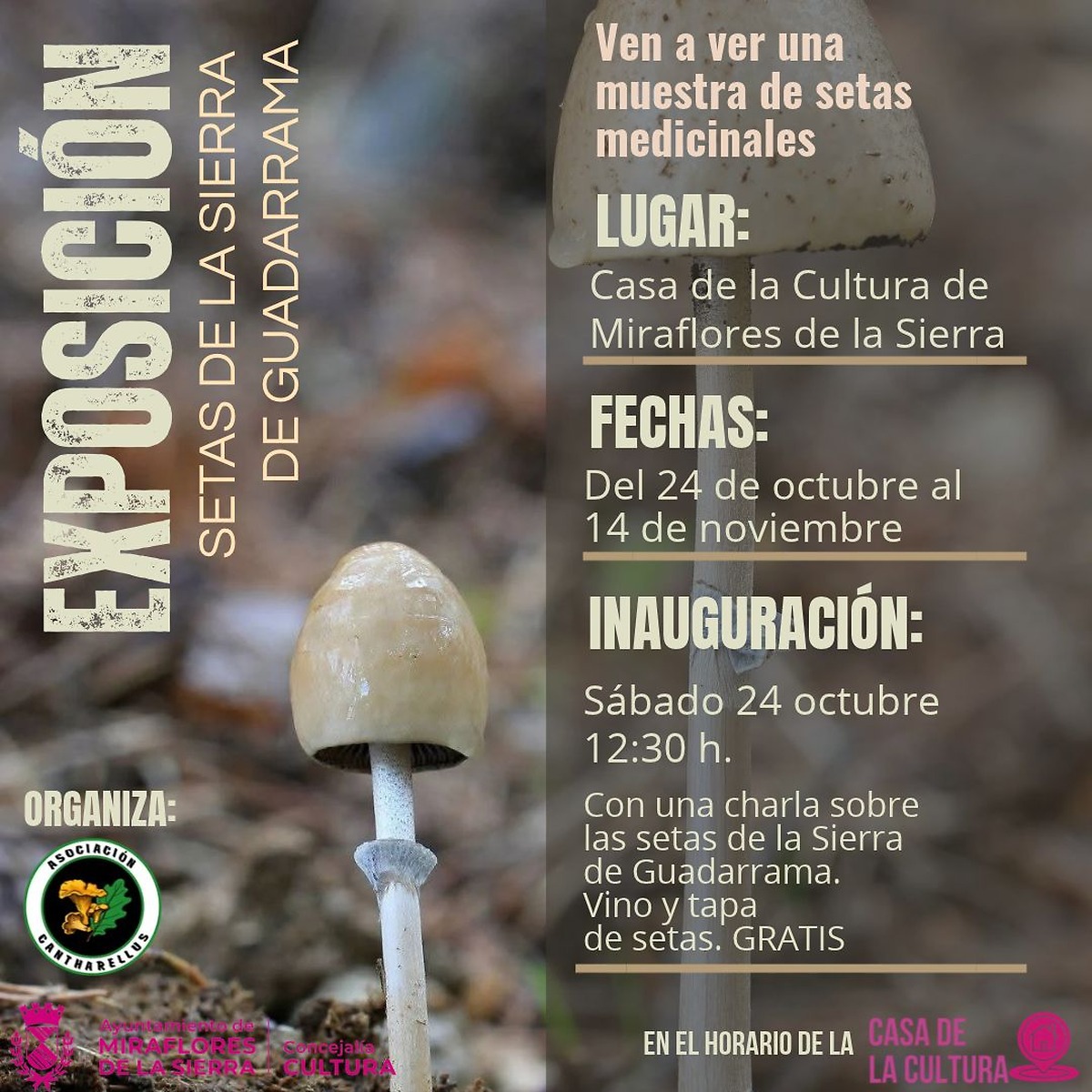 Mushroom exhibition in Miraflores de la Sierra postponed