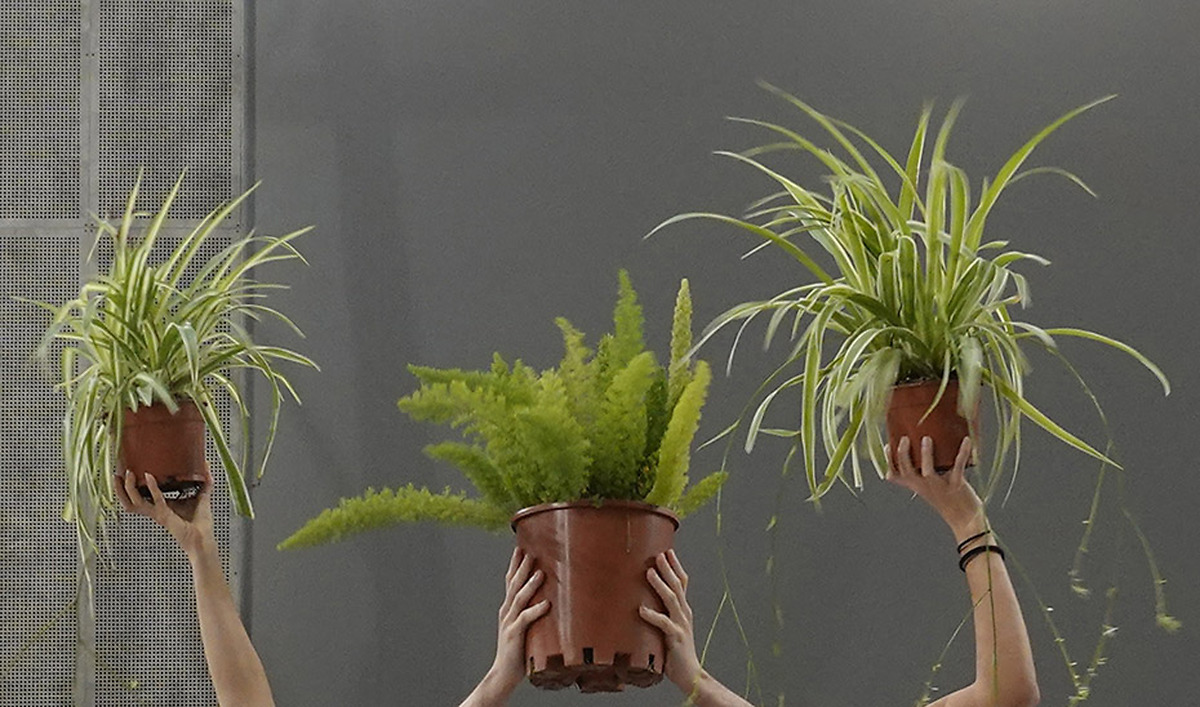 C3A presents 'Patios' by Maider López as part of Flora 2026 festival