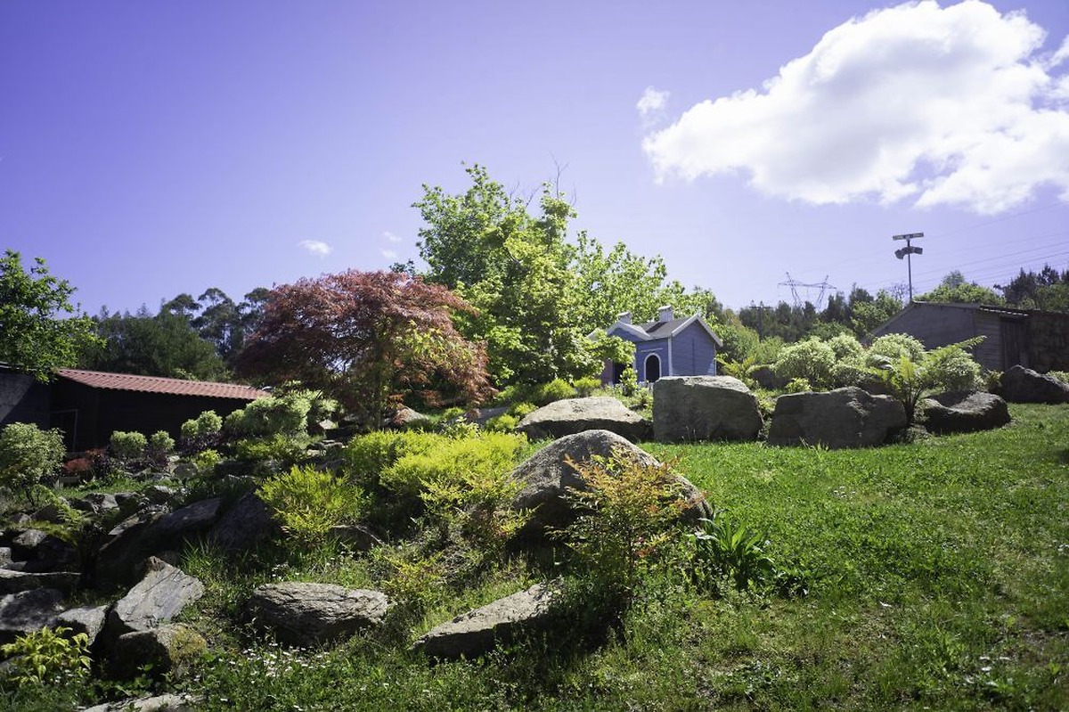 VigoNature launches autumn and winter activities focused on mycology and magosto