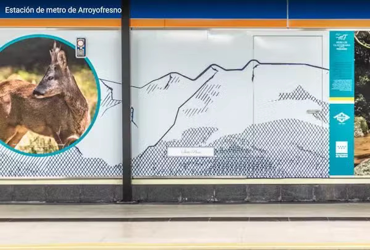 photographic exhibition in Arroyofresno showcases natural and cultural wealth of sierra de Guadarrama national park