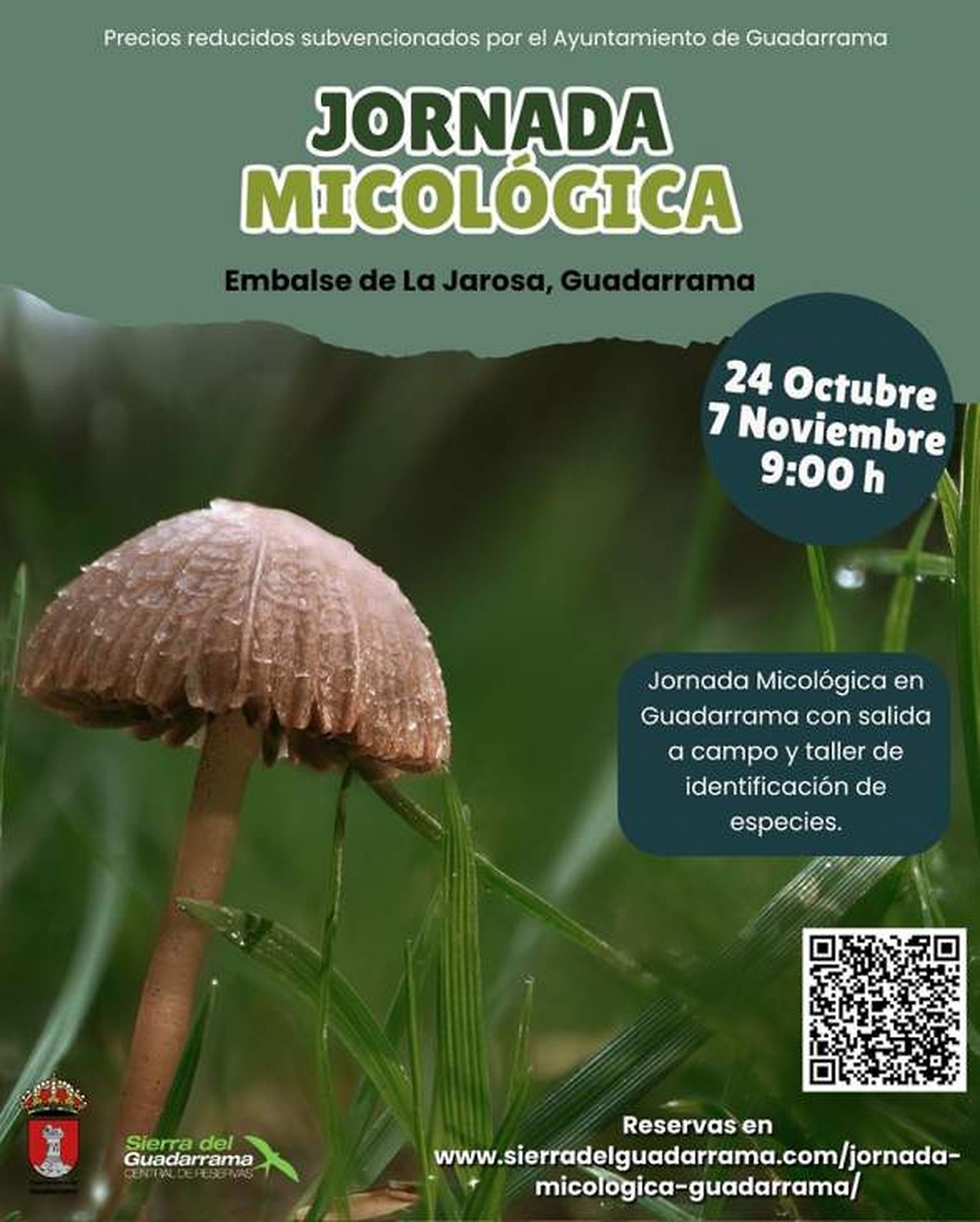 Guadarrama to host mushroom days with excursions and workshops